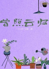曾照云归小说一只西飞雁