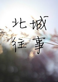 遇见席北城