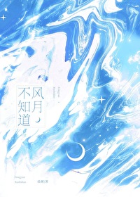 风月不相关小说讲的什么